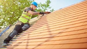Best Rubber Roofing (EPDM, TPO)  in Dock Junction, GA