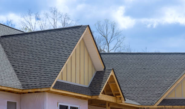 Best Roof Insulation Installation  in Dock Junction, GA