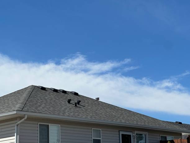 Best Metal Roofing Installation  in Dock Junction, GA